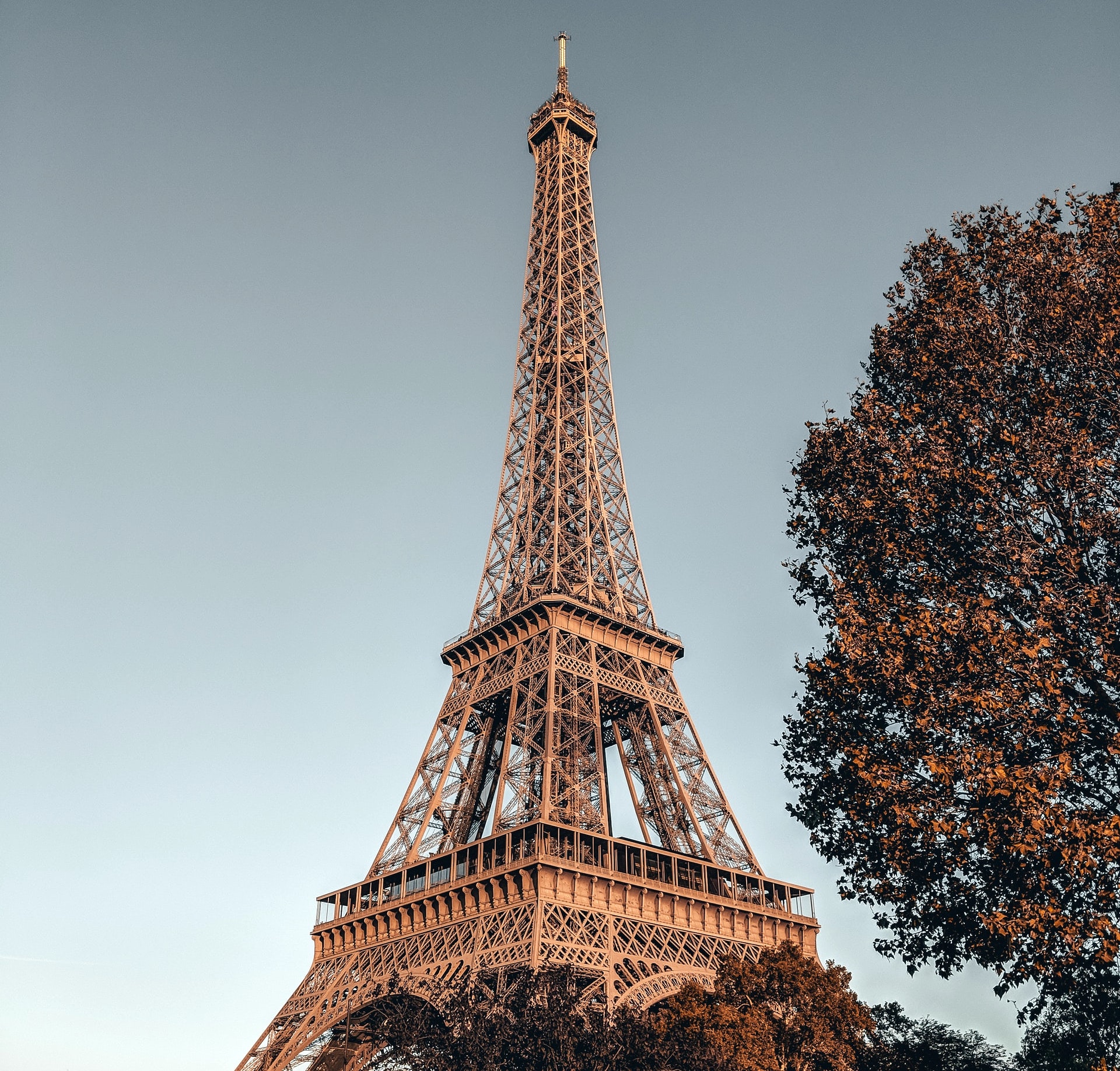 Eiffel Tower view from dinner