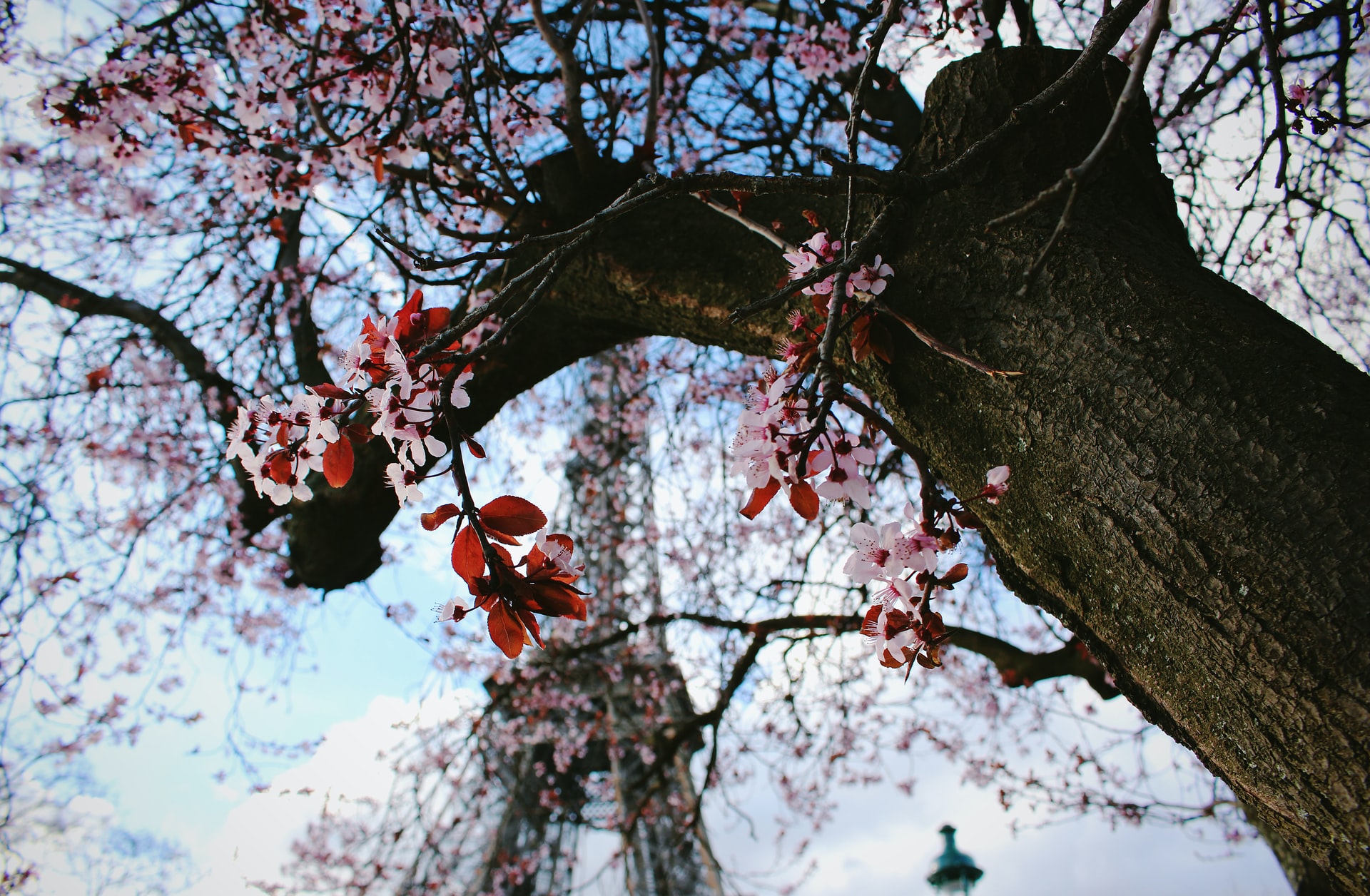 Best Time to Visit the Eiffel Tower Seasons and Holidays