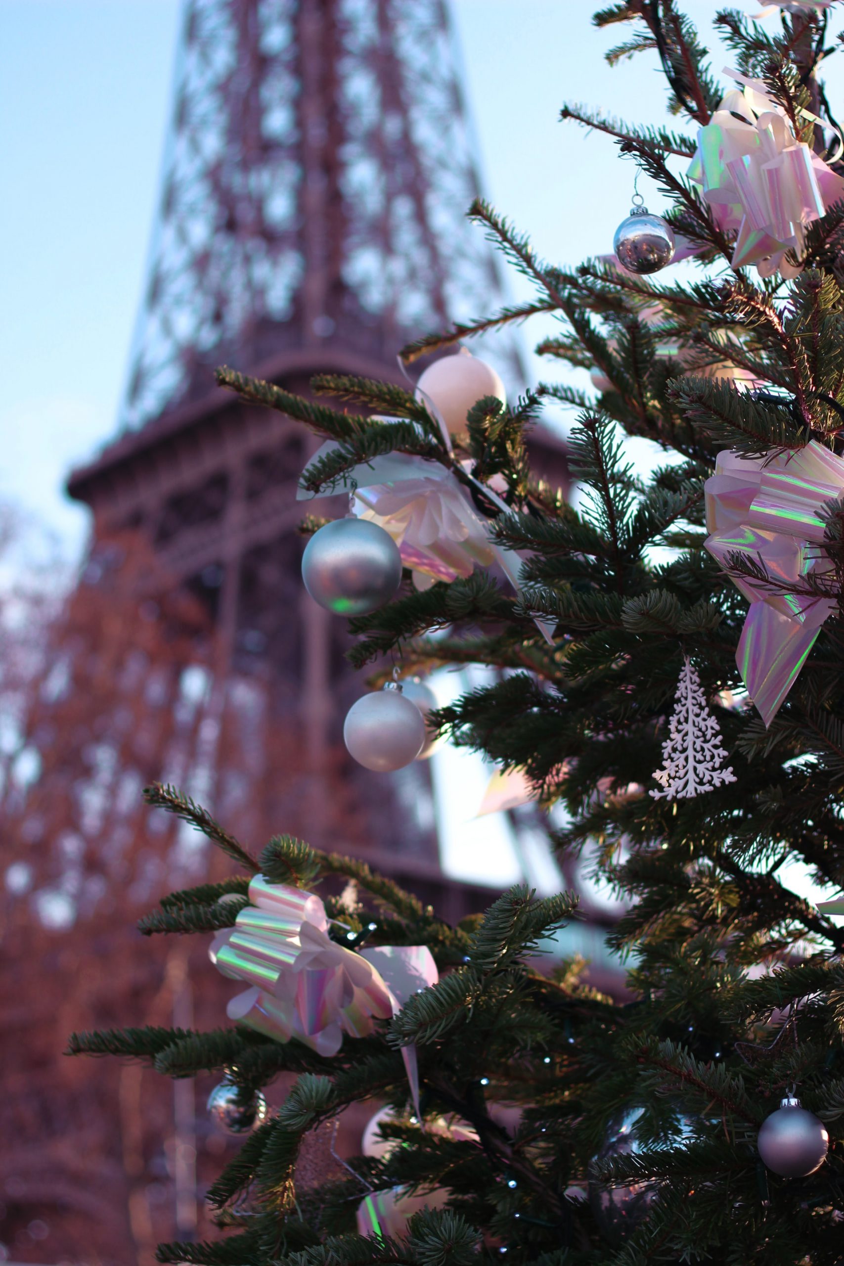 Eiffel Tower in winter