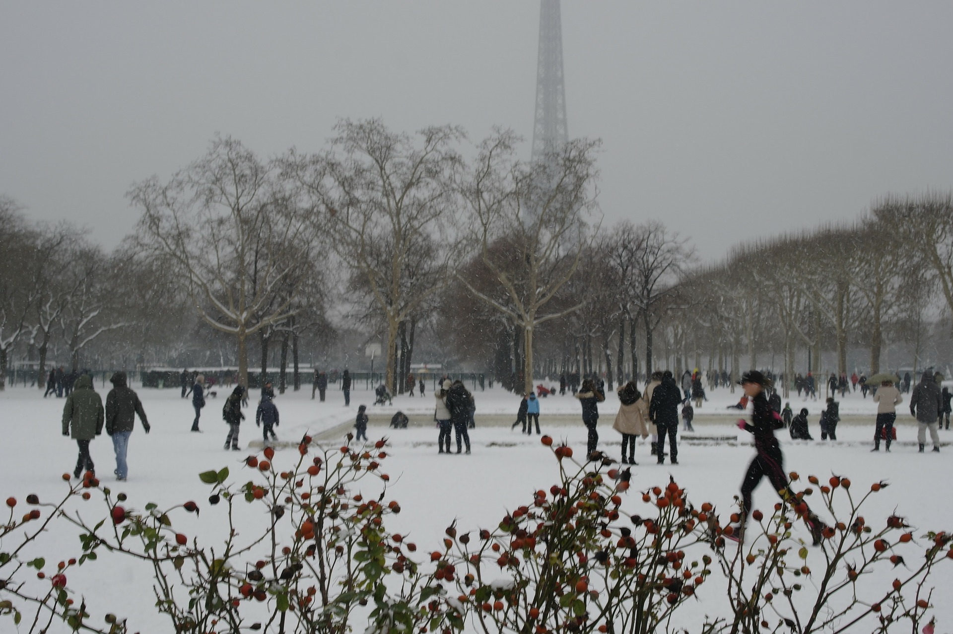 Eiffel Tower in winter