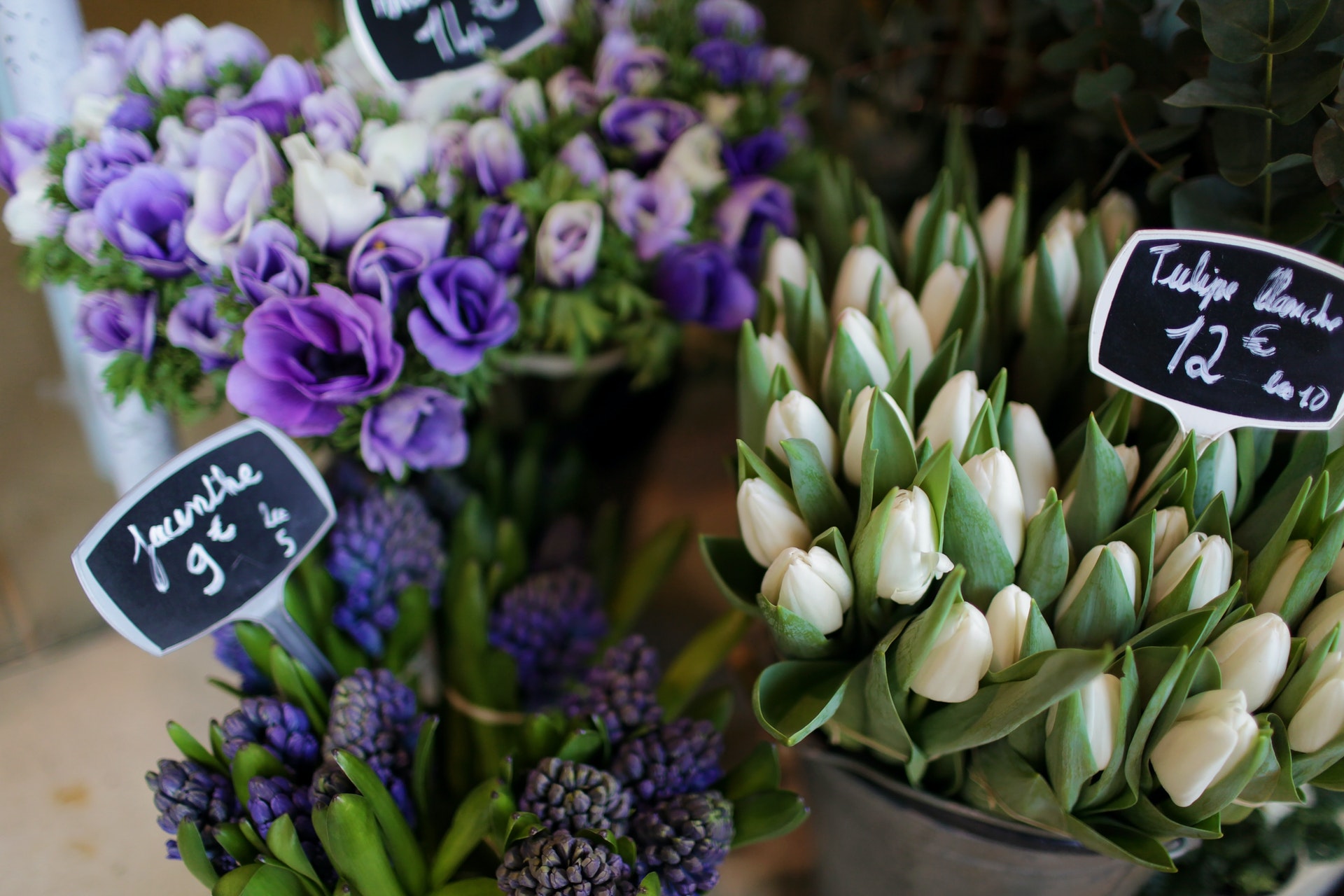 Flowers in Paris Flower Shop