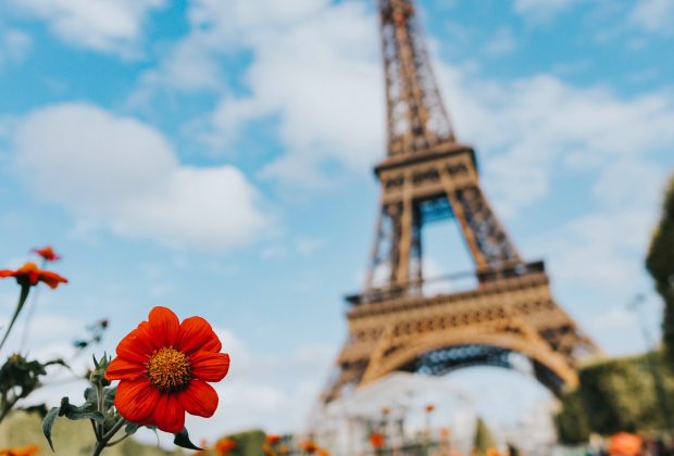 Eiffel Tower with flowers in the foreground