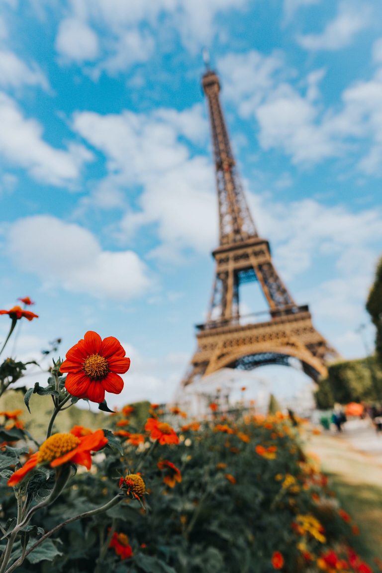 Eiffel Tower with flowers in the foreground