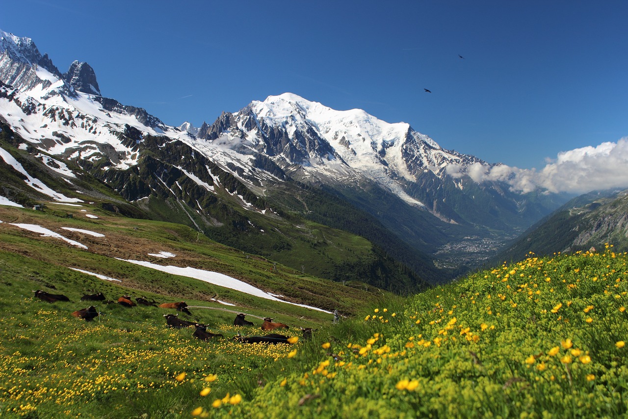 Mont Blanc