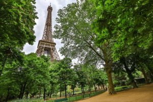 Eiffel Tower with tress in foreground